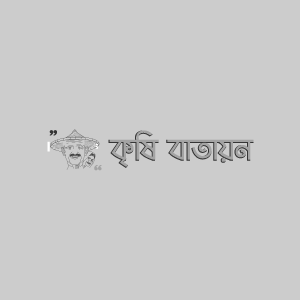 স্ট্রবেরি পাতার ব্লাইট রোগ