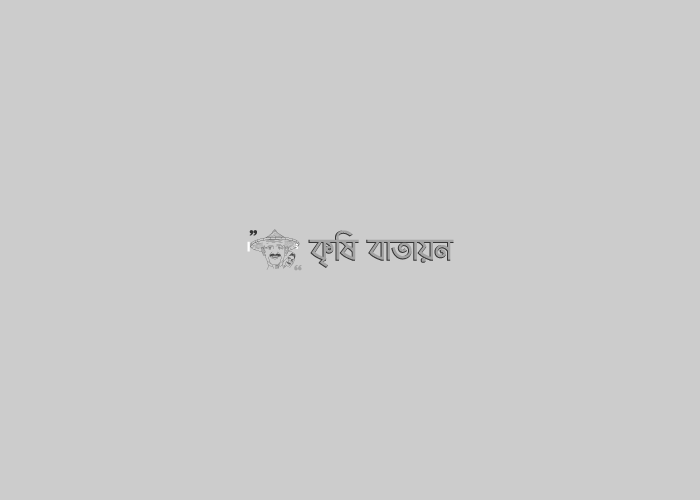 লাইন- লো‌গো- পা‌র্চিং