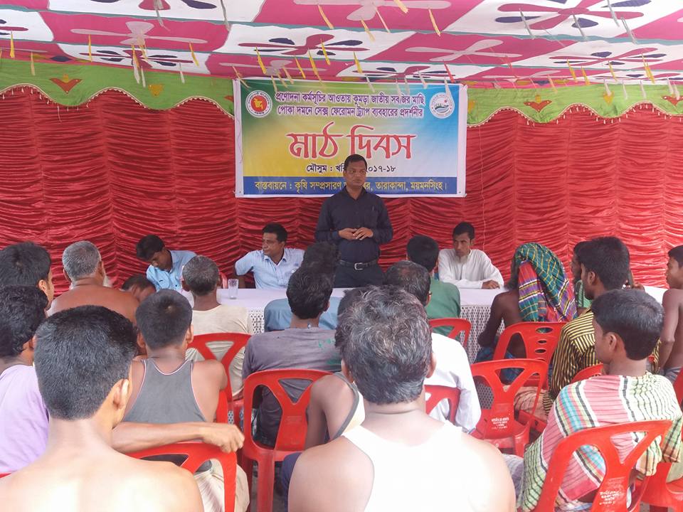 প্রণোদনা কর্মসূচী